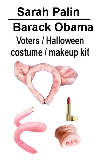 Palin / Obama voter -- make up kit