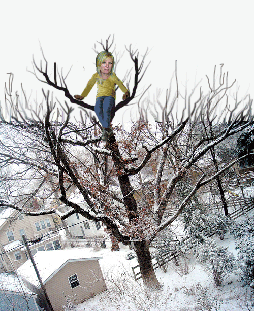Ann in a tree