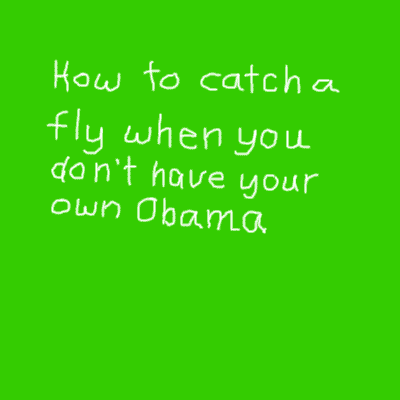 how to catch a fly when you don't have your own Obama